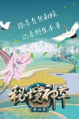 TV Show Poster