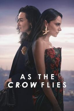 TV Show Poster