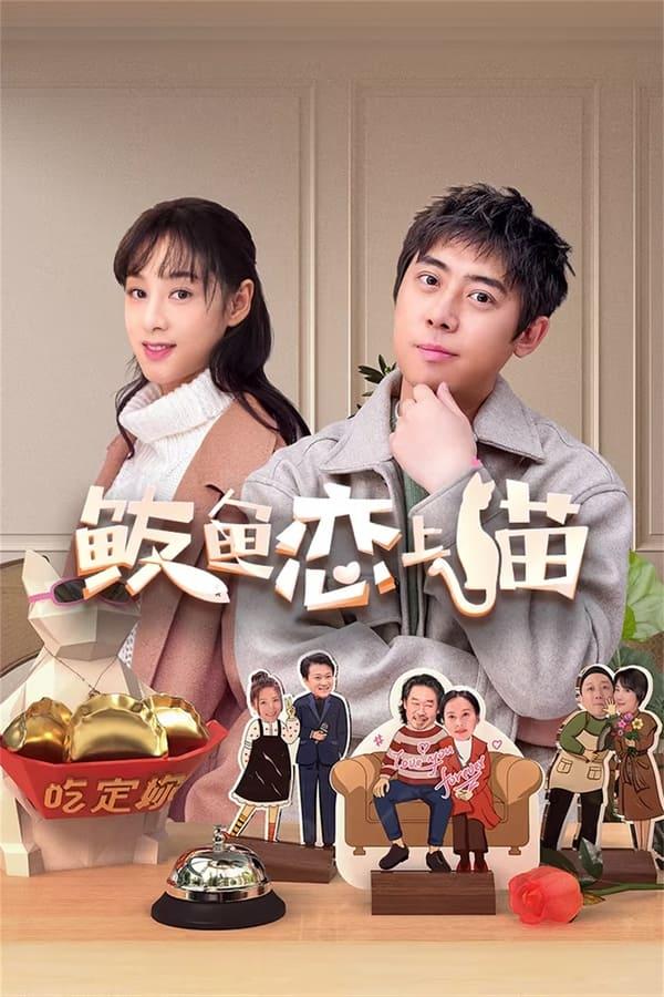 TV Show Poster