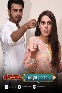 TV Show Poster