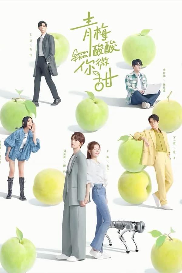 TV Show Poster