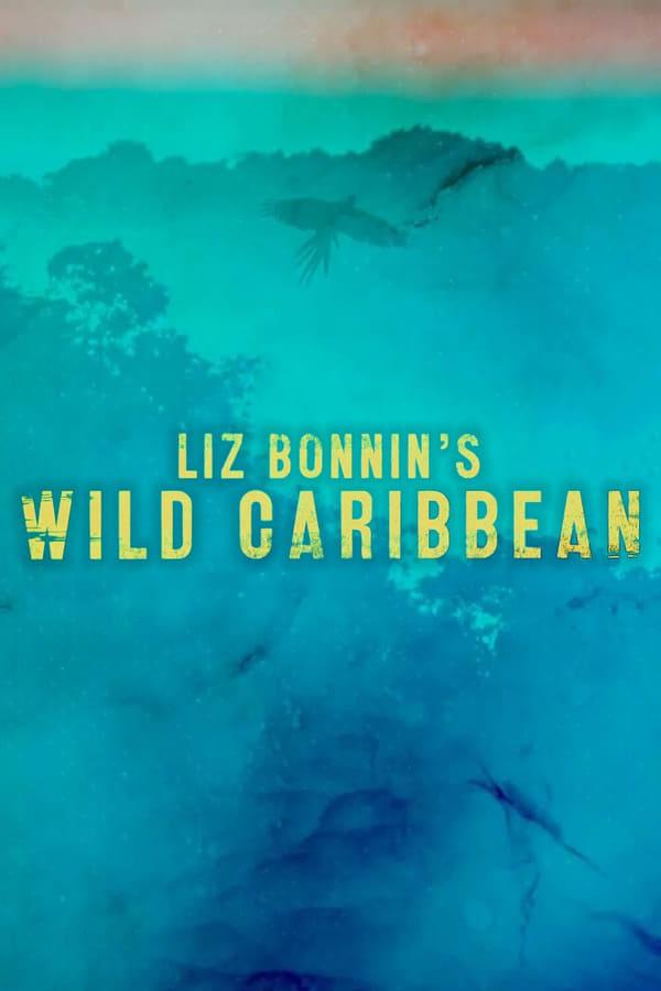 TV Show Poster