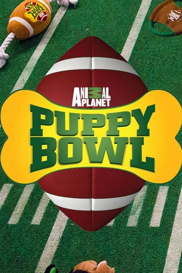 TV Show Poster