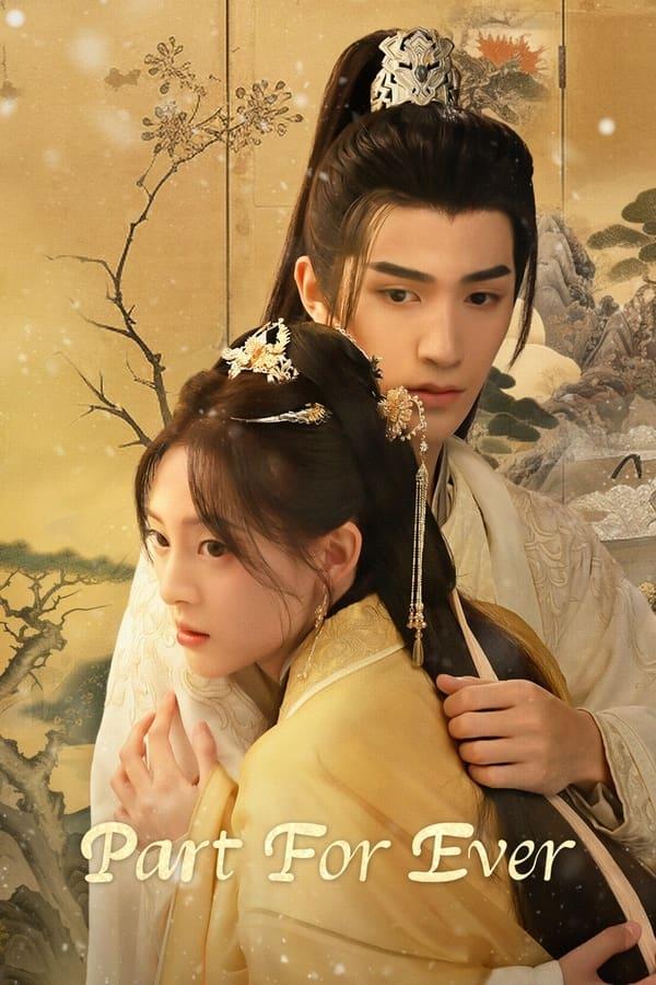 TV Show Poster