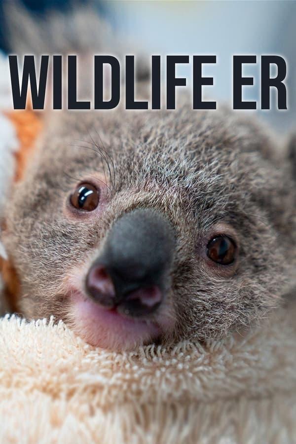 TV Show Poster