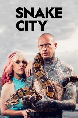 TV Show Poster