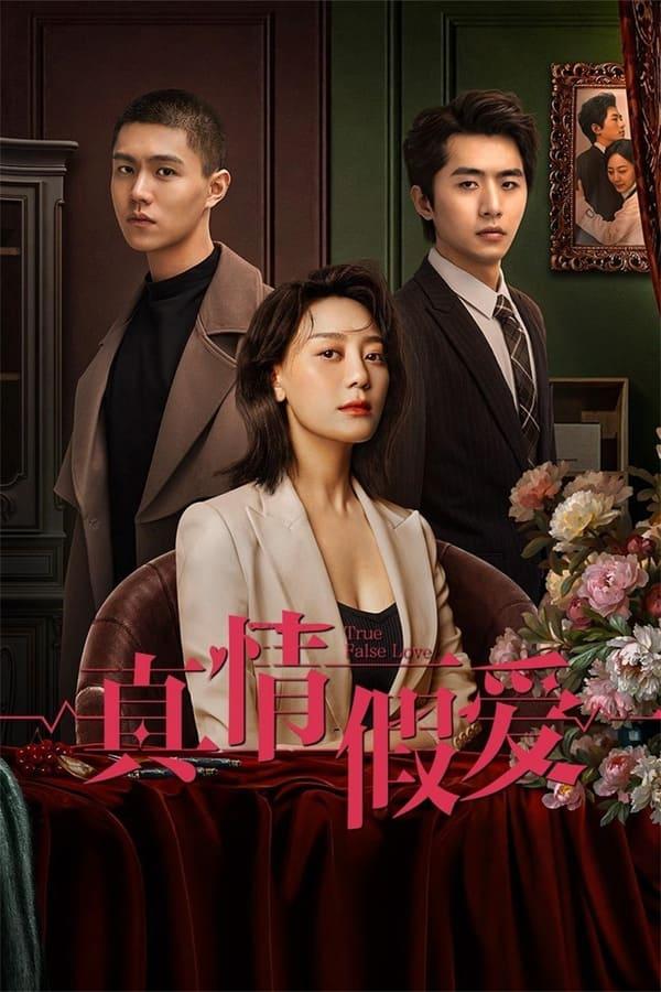 TV Show Poster