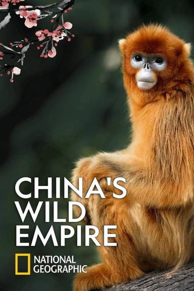 TV Show Poster