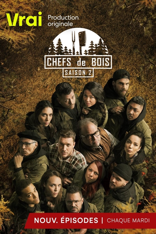 TV Show Poster