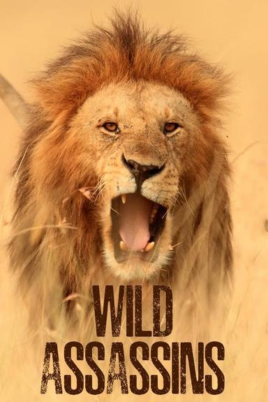 TV Show Poster