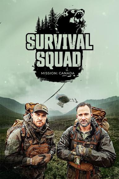 TV Show Poster