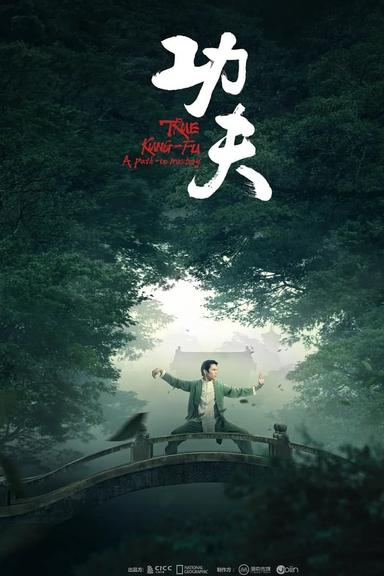 TV Show Poster