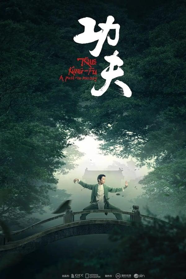 TV Show Poster