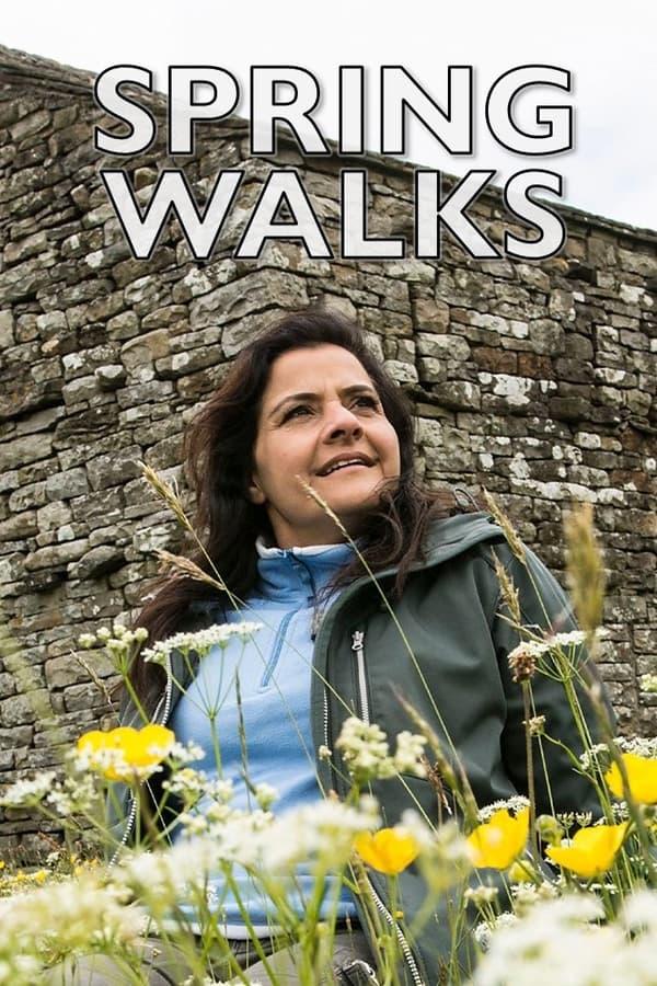 TV Show Poster