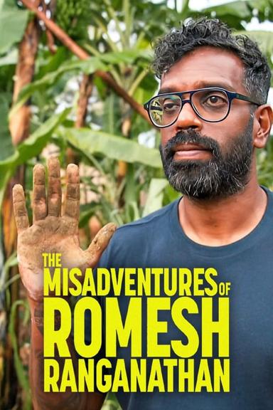 TV Show Poster