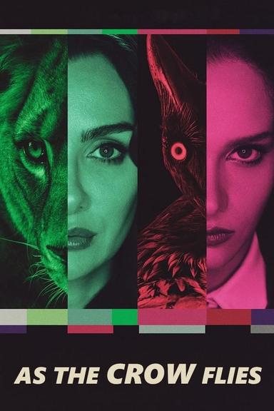 TV Show Poster