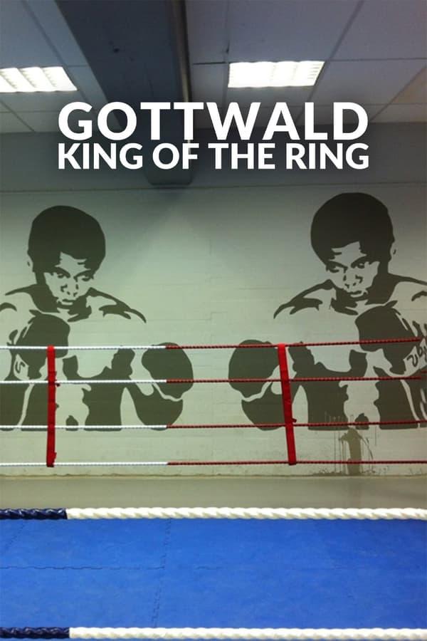 TV Show Poster