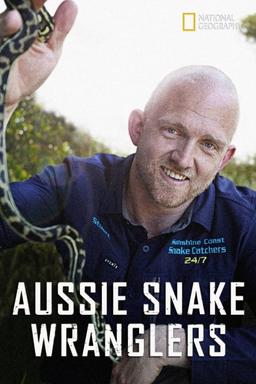 TV Show Poster
