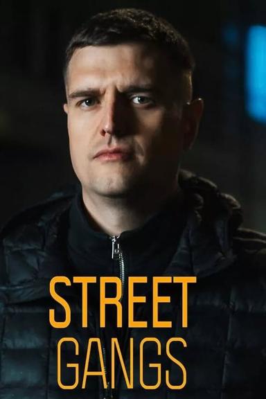 TV Show Poster