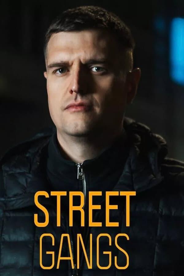 TV Show Poster
