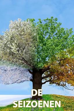 TV Show Poster