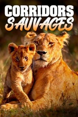 TV Show Poster