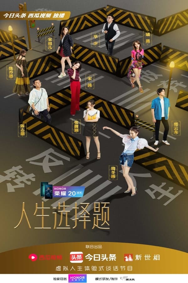 TV Show Poster