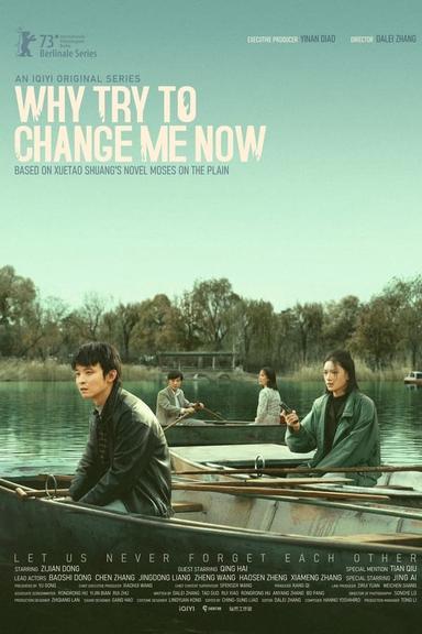 TV Show Poster