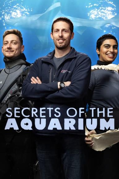 TV Show Poster