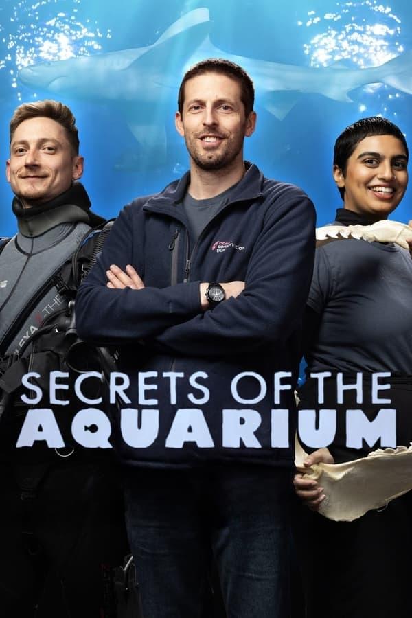 TV Show Poster