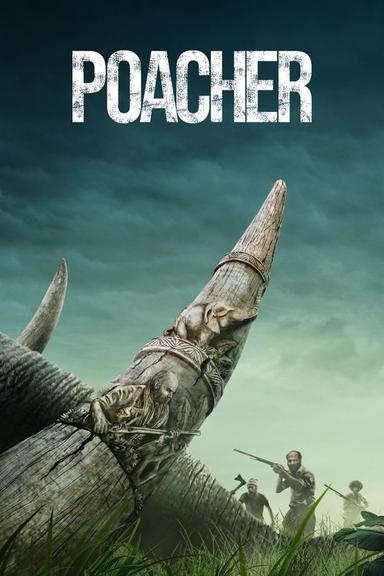 TV Show Poster