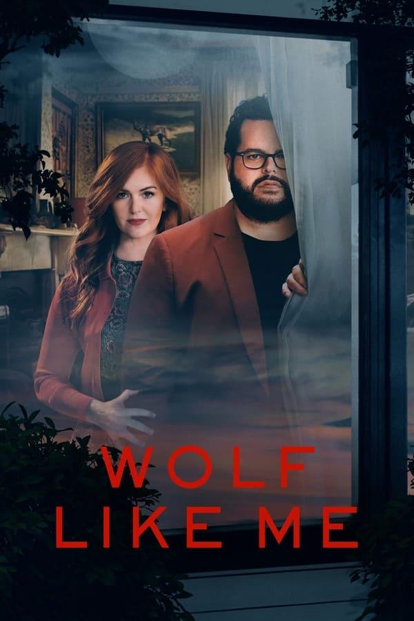 TV Show Poster