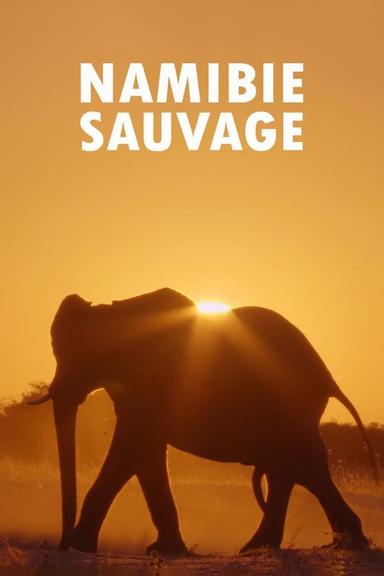 TV Show Poster