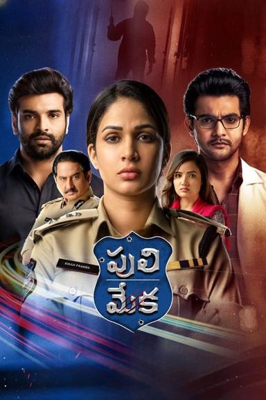 TV Show Poster