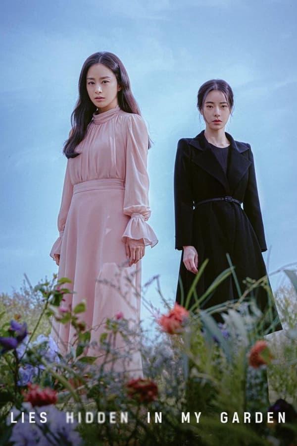 TV Show Poster