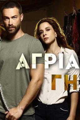 TV Show Poster