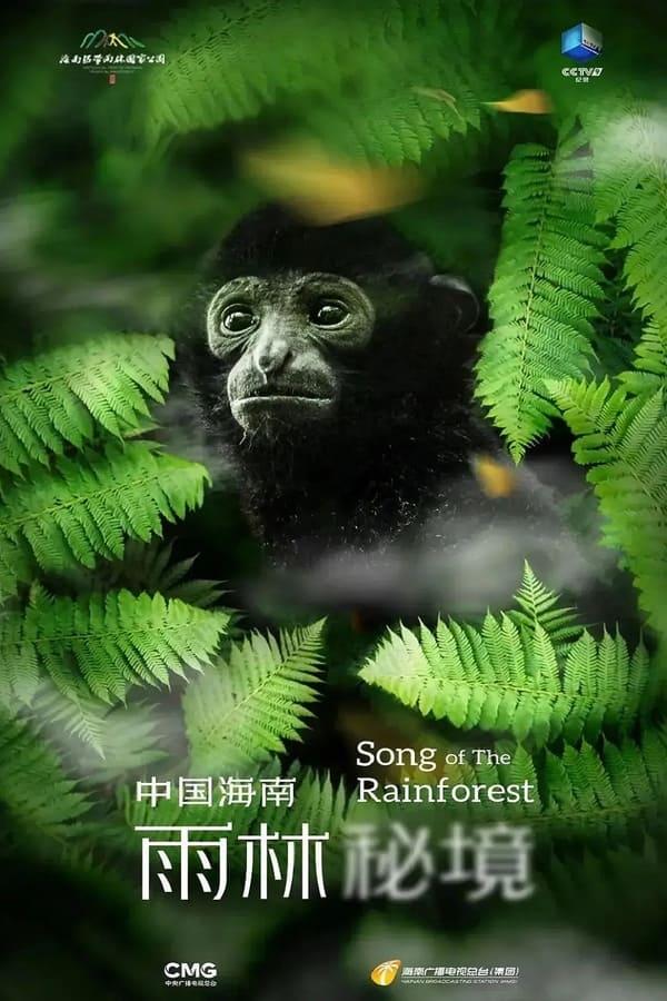 Постер сериала