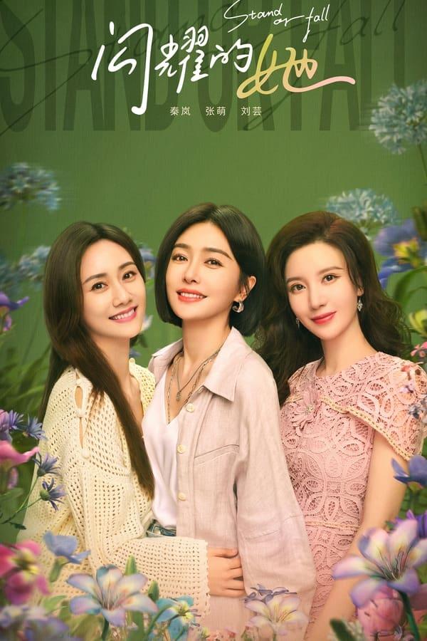 TV Show Poster