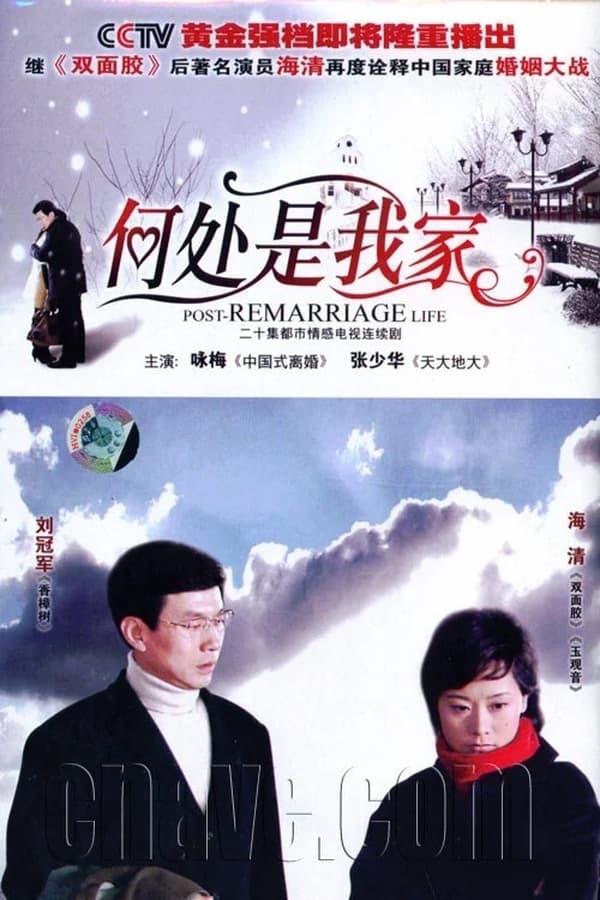 TV Show Poster