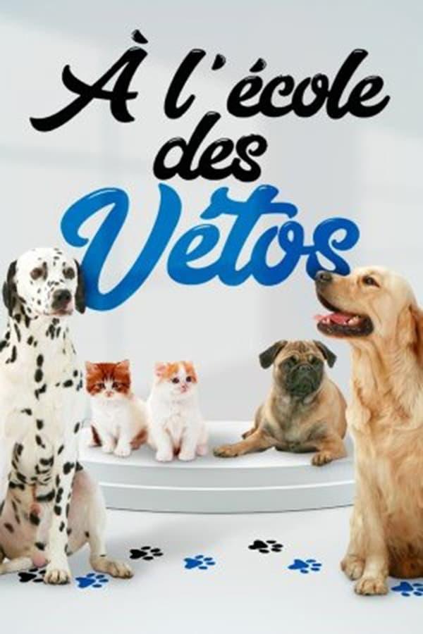 TV Show Poster