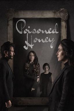 TV Show Poster