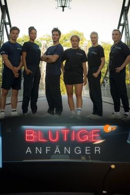 TV Show Poster