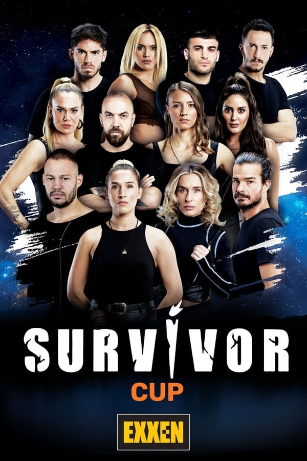 TV Show Poster