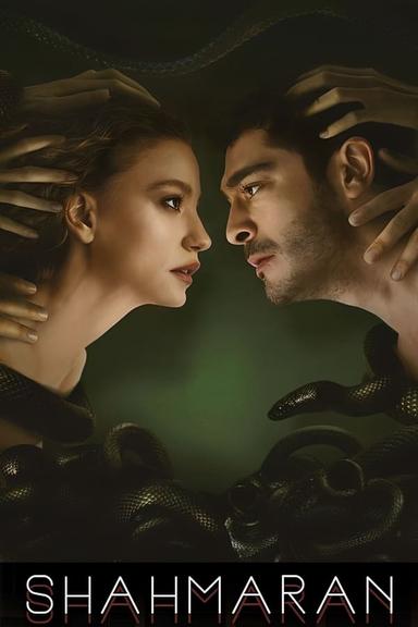 TV Show Poster