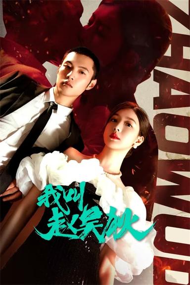 TV Show Poster