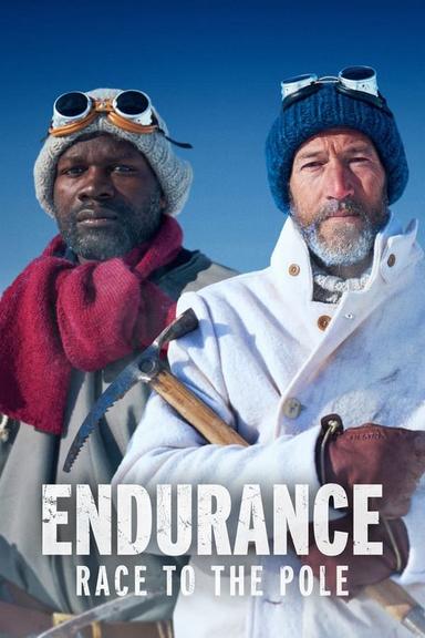 TV Show Poster
