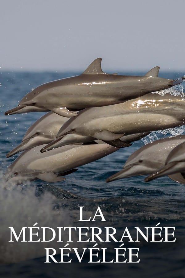 TV Show Poster