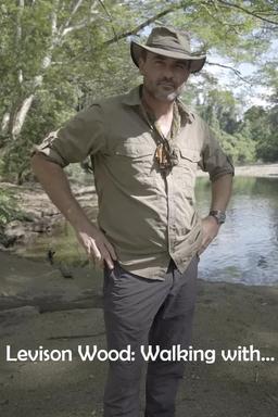 TV Show Poster
