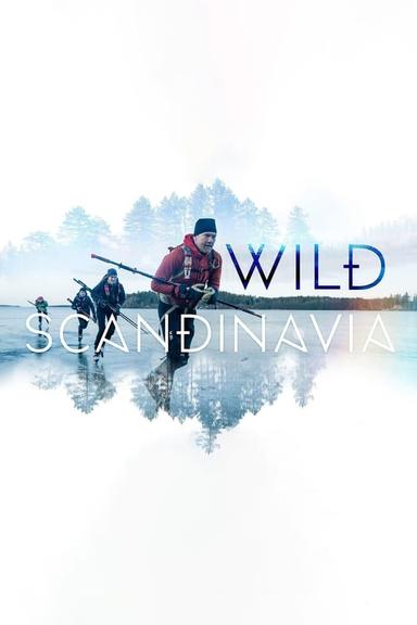 TV Show Poster