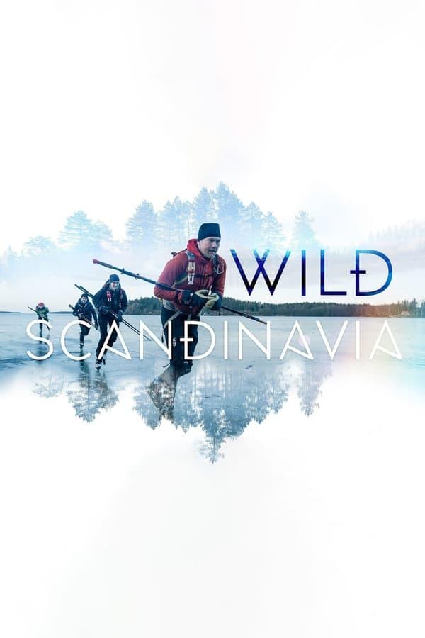 TV Show Poster